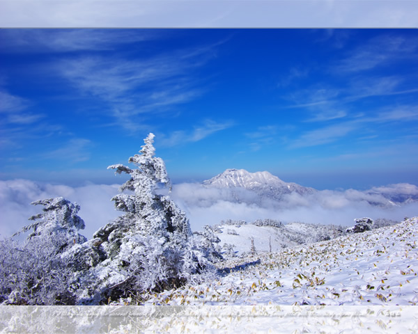 「霊峰冬景色-1」の高画質壁紙（1024x768|1280x1024|1366x768|1600x900|1920x1080|2560x1440|1920x1200）