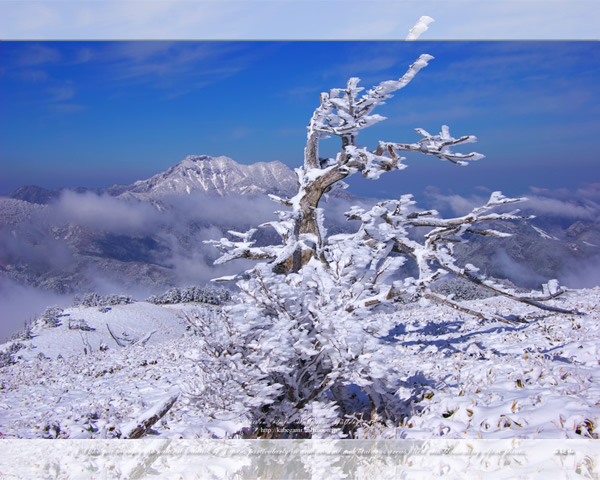 「霊峰冬景色-3」の高画質壁紙（1024x768|1280x1024|1366x768|1600x900|1920x1080|2560x1440|1920x1200）