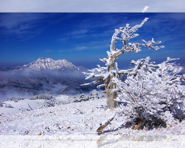 「霊峰冬景色-4」の高画質壁紙（1024x768|1280x1024|1366x768|1600x900|1920x1080|2560x1440|1920x1200）