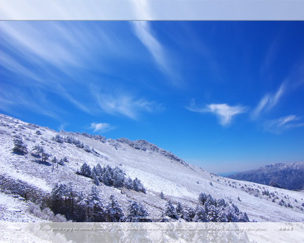 「瓶ヶ森雪景色-2」の高画質壁紙（1024x768|1280x1024|1366x768|1600x900|1920x1080|2560x1440|1920x1200）