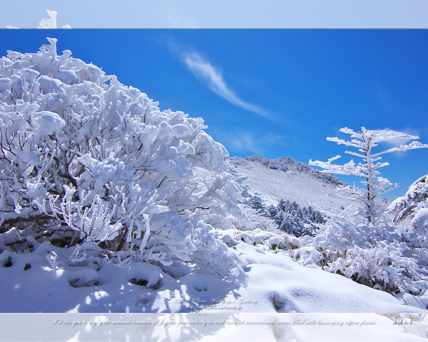「瓶ヶ森雪景色-3」の高画質壁紙（1024x768|1280x1024|1366x768|1600x900|1920x1080|2560x1440|1920x1200）