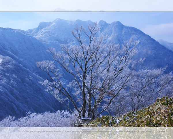 「伊予富士-1」の高画質壁紙（1024x768|1280x1024|1366x768|1600x900|1920x1080|2560x1440|1920x1200）