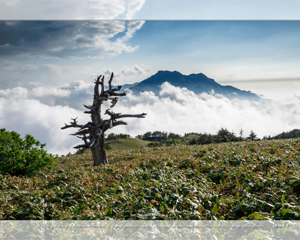 「雲海の霊峰石鎚山-3」の高画質壁紙（1024x768|1280x1024|1366x768|1600x900|1920x1080|2560x1440|1920x1200）