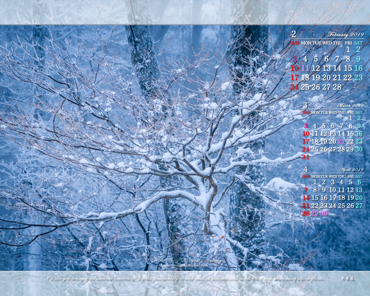 2019年2月カレンダー壁紙 自然 風景 冬木立 ネイチャーフォト壁紙館