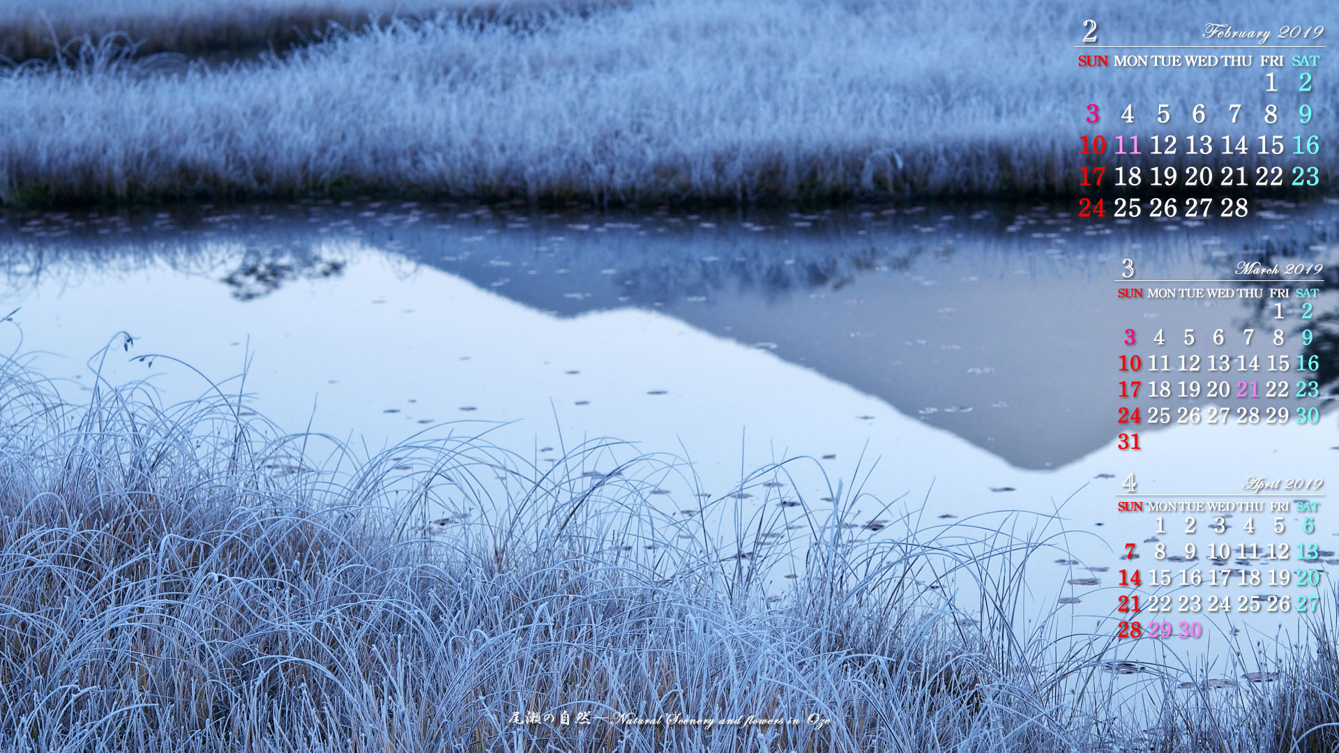 2019年2月カレンダー壁紙：尾瀬－霜朝の地塘｜ネイチャーフォト壁紙館