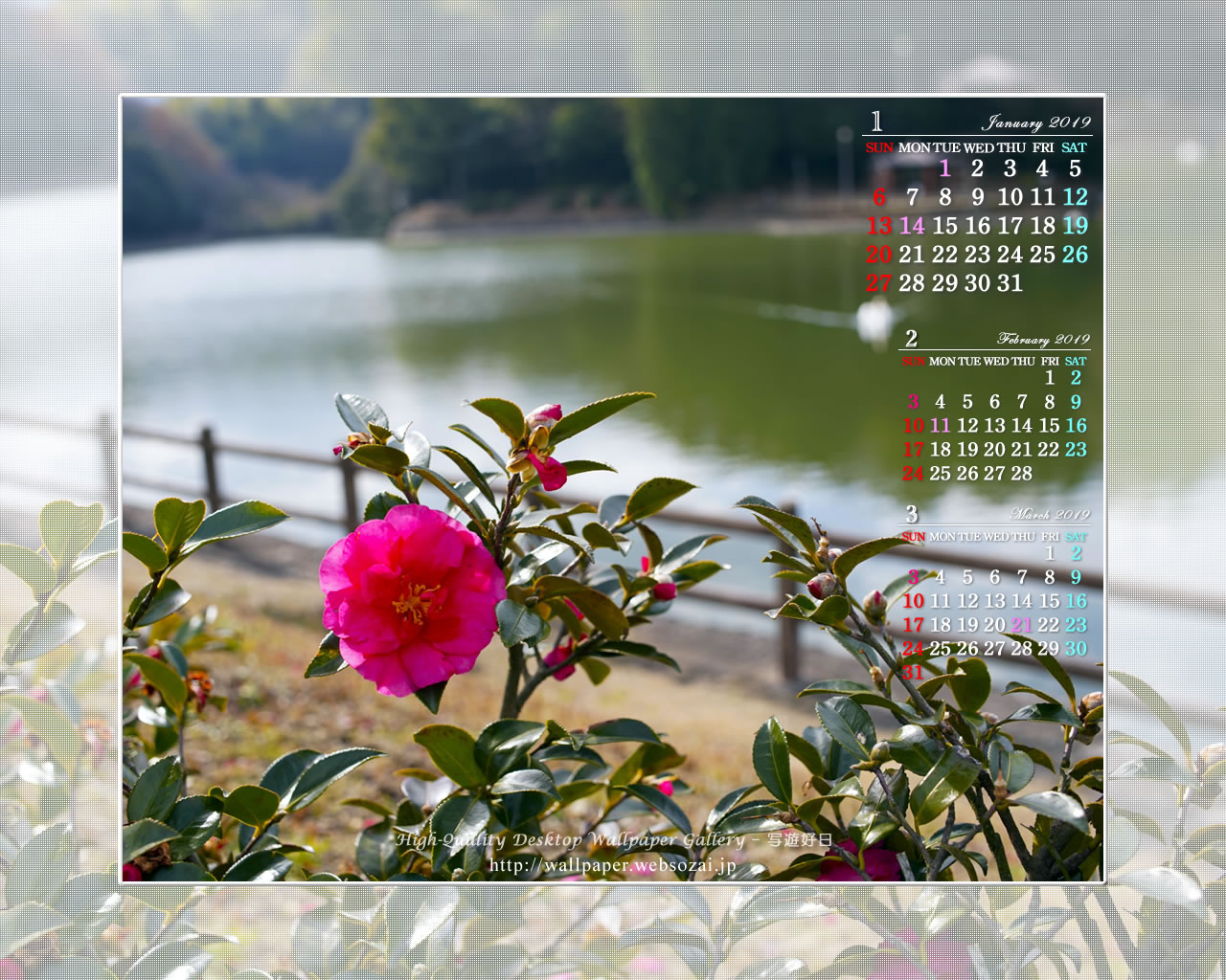 ３ヶ月のカレンダー壁紙［1280x1024］－山茶花の咲く池