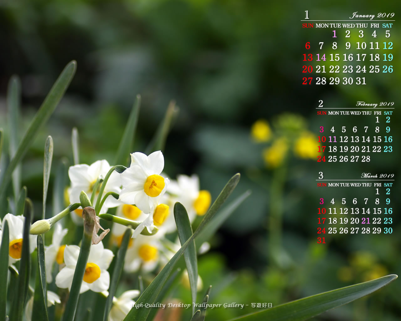 ３ヶ月のカレンダー壁紙［1280x1024］－水仙