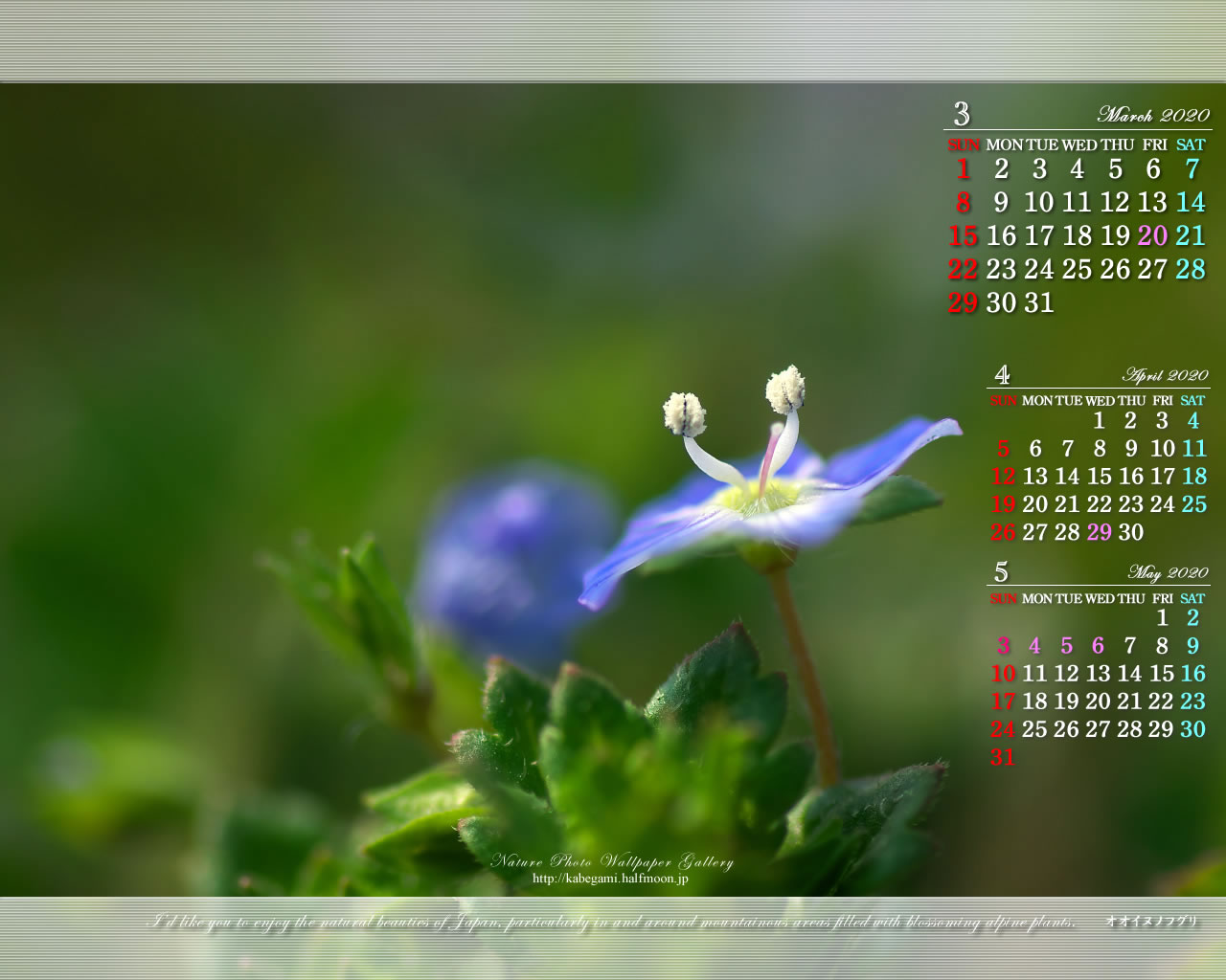 ３ヶ月のカレンダー壁紙［1280x1024］－ネイチャーフォト-1