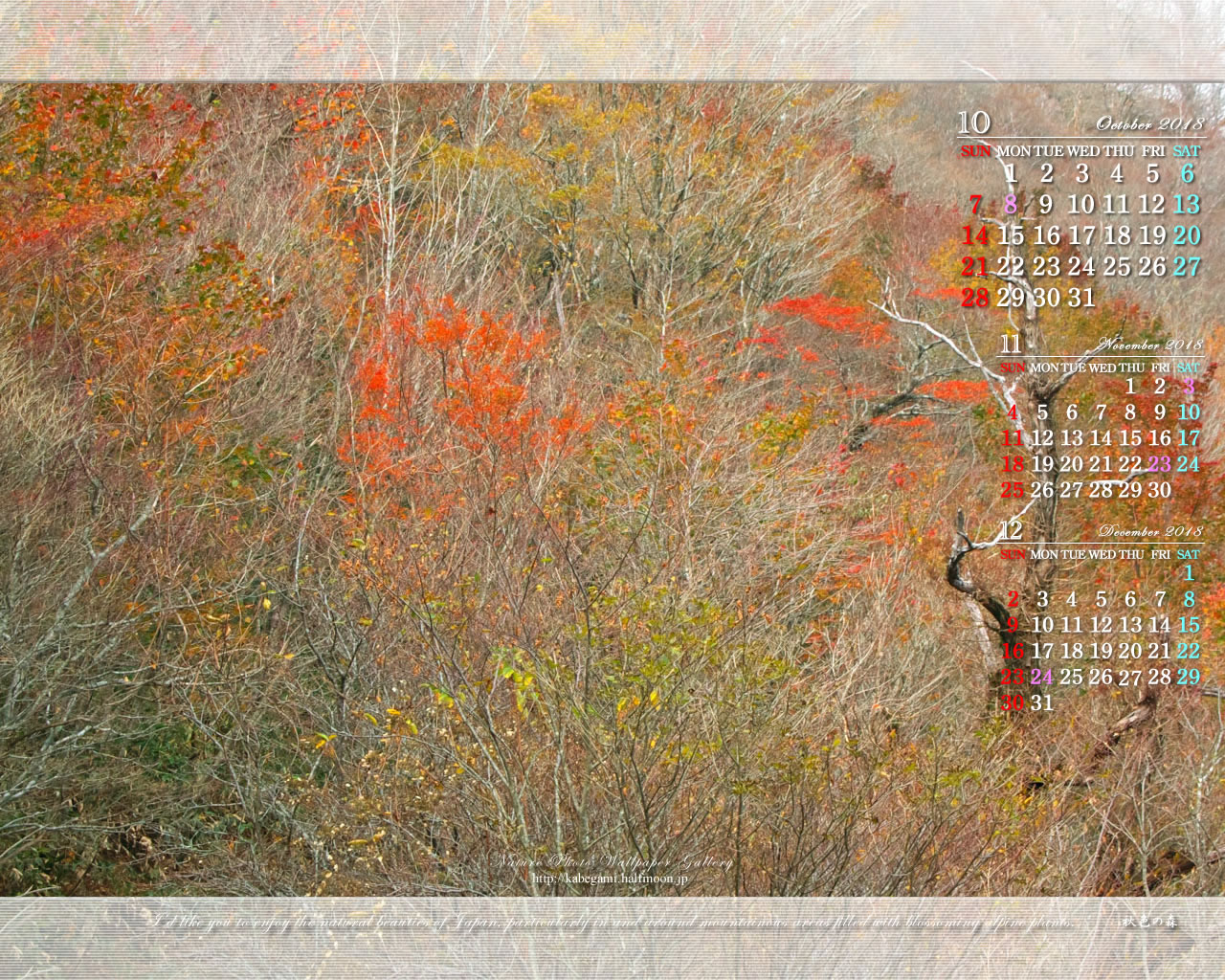 ３ヶ月のカレンダー壁紙［1280x1024］－秋の彩り