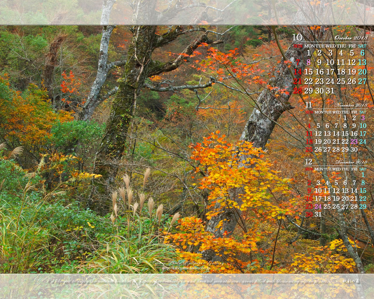 ３ヶ月のカレンダー壁紙［1280x1024］－森の秋景