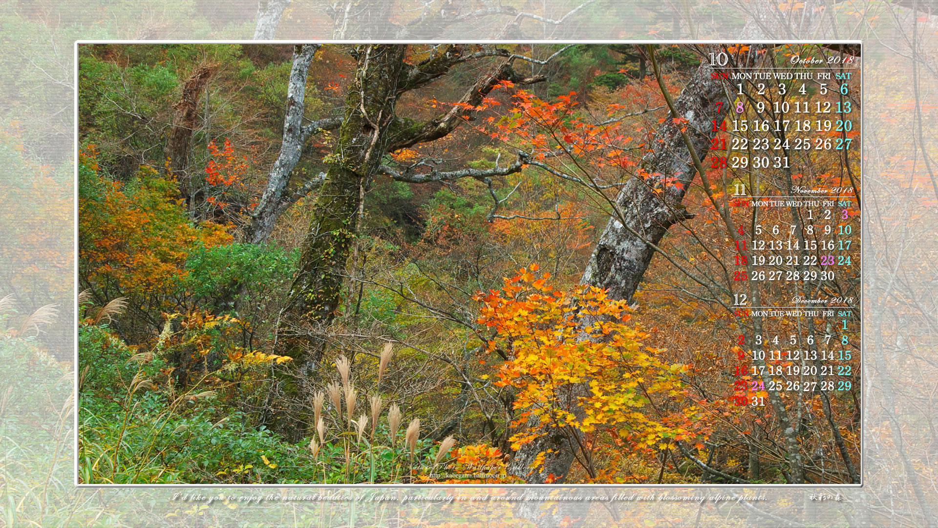 ワイドモニタ用３ヶ月カレンダー壁紙［1920x1080］－森の秋景