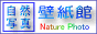 「ネイチャーフォト壁紙館」のリンク用バナー：≪88×31≫-No.2