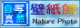 「ネイチャーフォト壁紙館」のリンク用バナー：≪88×31≫-No.3