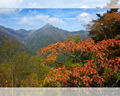 「秋色の石鎚山」の高画質壁紙