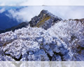 「石鎚山系冬景色風景」の高画質壁紙