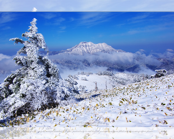 「霊峰冬景色-2」の高画質壁紙（1024x768|1280x1024|1366x768|1600x900|1920x1080|2560x1440|1920x1200）