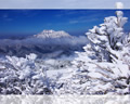 「石鎚山系冬景色風景」の高画質壁紙