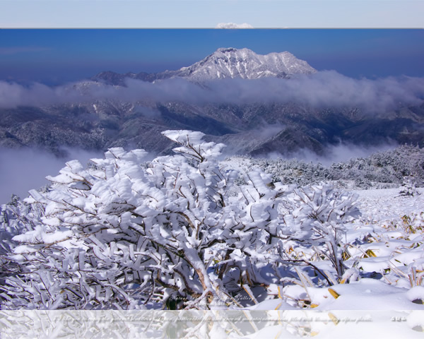 山 森の壁紙 霊峰冬景色 6 ネイチャーフォト壁紙館