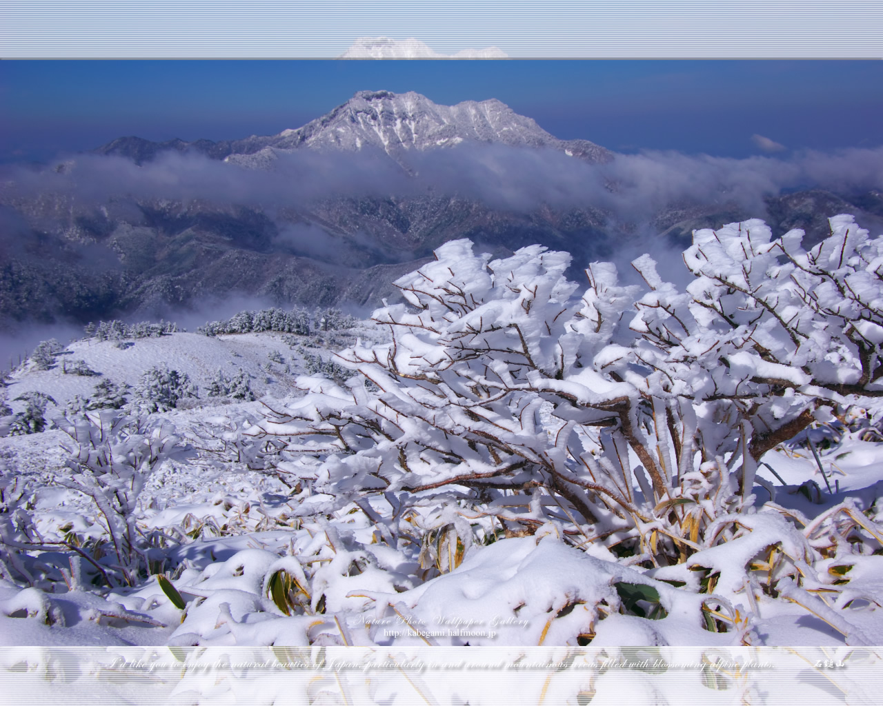 山 森の壁紙 霊峰冬景色 7 ネイチャーフォト壁紙館