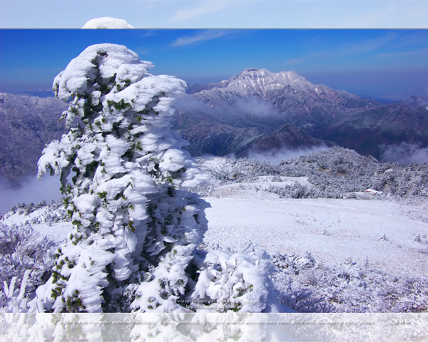 「霊峰冬景色-13」の高画質壁紙（1024x768|1280x1024|1366x768|1600x900|1920x1080|2560x1440|1920x1200）