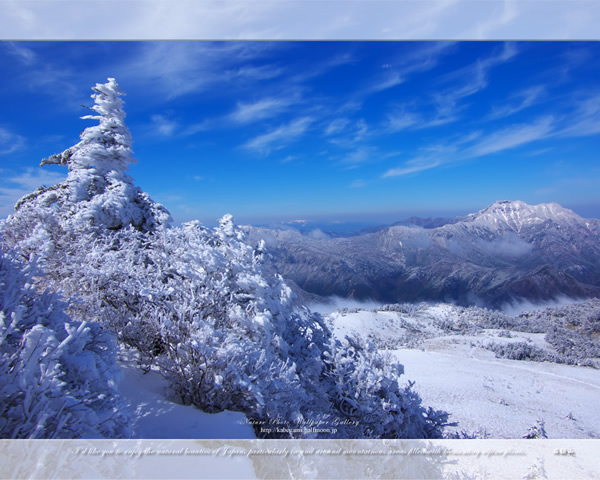 「霊峰冬景色-15」の高画質壁紙（1024x768|1280x1024|1366x768|1600x900|1920x1080|2560x1440|1920x1200）