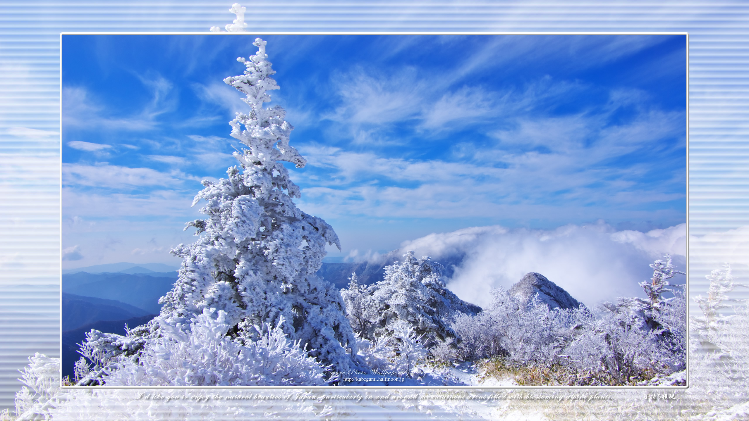 ベストコレクション 冬 景色 雪景 色 壁紙 高 画質