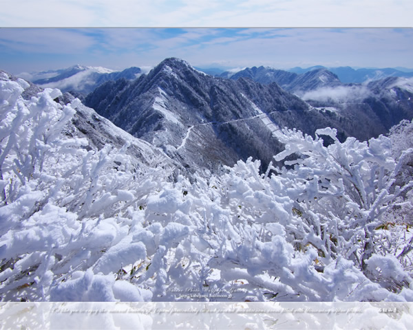 「石鎚山系冬景色-2」の高画質壁紙（1024x768|1280x1024|1366x768|1600x900|1920x1080|2560x1440|1920x1200）