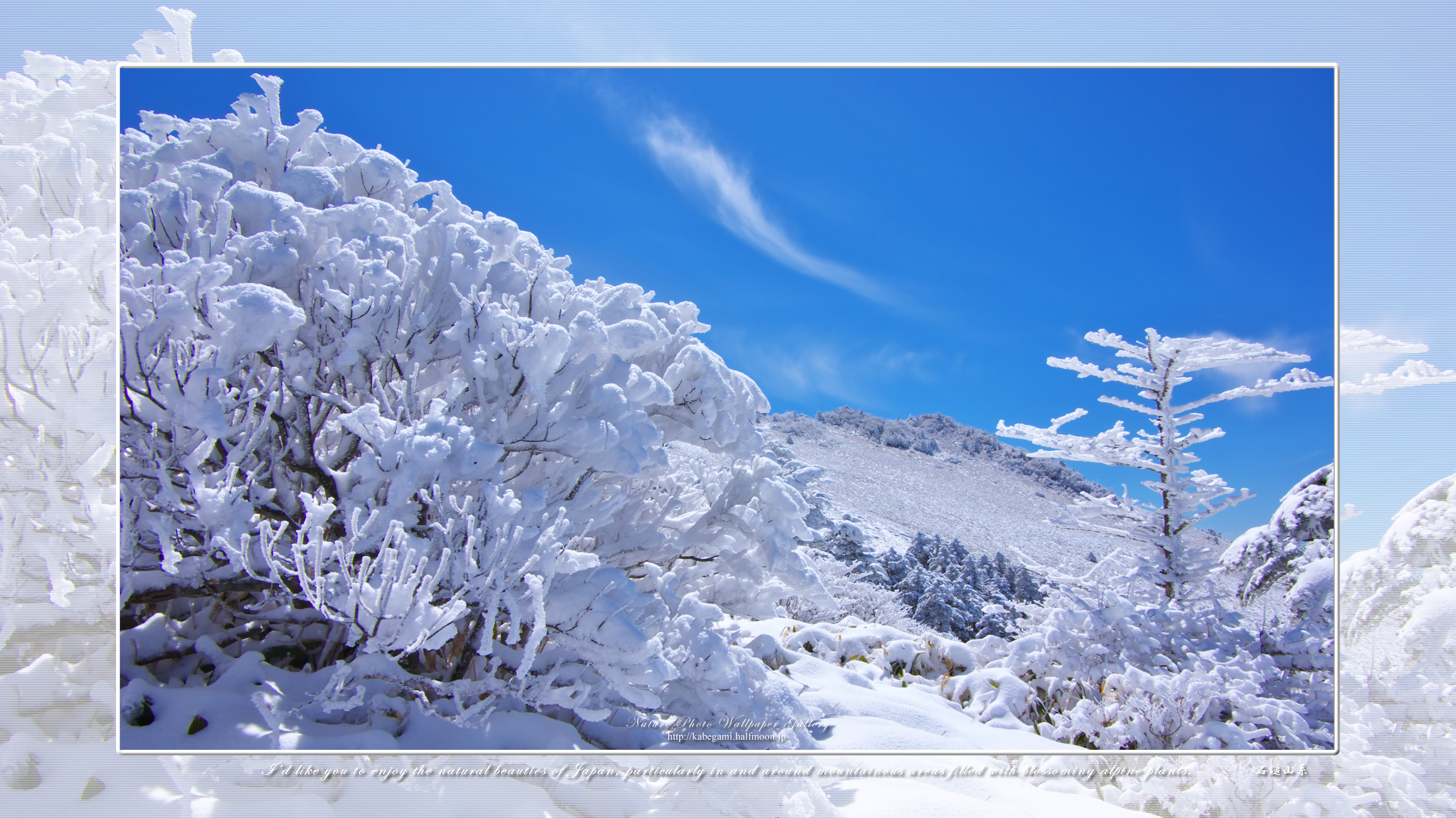 山 森の壁紙 瓶ヶ森雪景色 3 ネイチャーフォト壁紙館