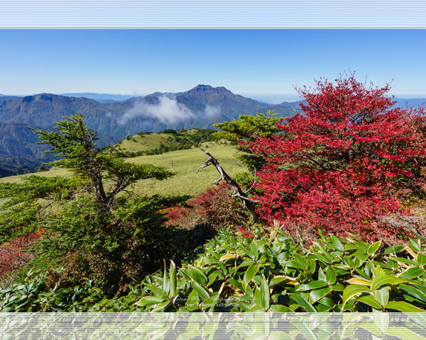 「石鎚山系の紅葉風景」の高画質壁紙（1024x768|1280x1024|1366x768|1600x900|1920x1080|2560x1440|1920x1200）