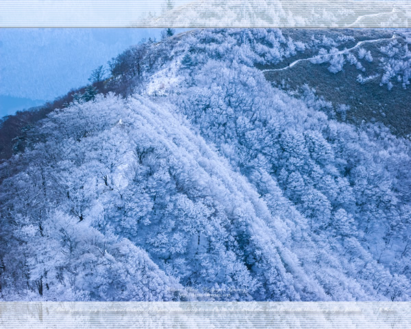 「石鎚山系寒風山の冬の風景」の高画質壁紙（1024x768|1280x1024|1366x768|1600x900|1920x1080|2560x1440|1920x1200）
