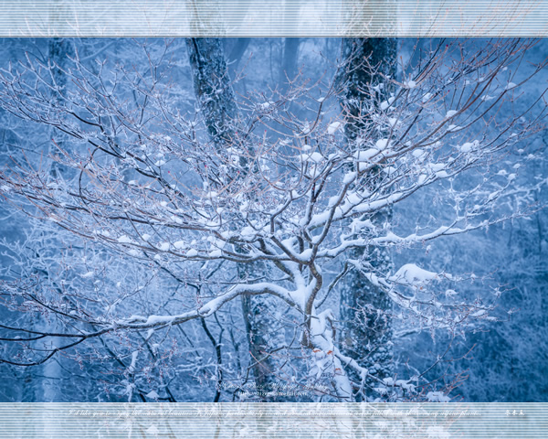 「皿ヶ峰の冬景色」の高画質壁紙（1024x768|1280x1024|1366x768|1600x900|1920x1080|2560x1440|1920x1200）