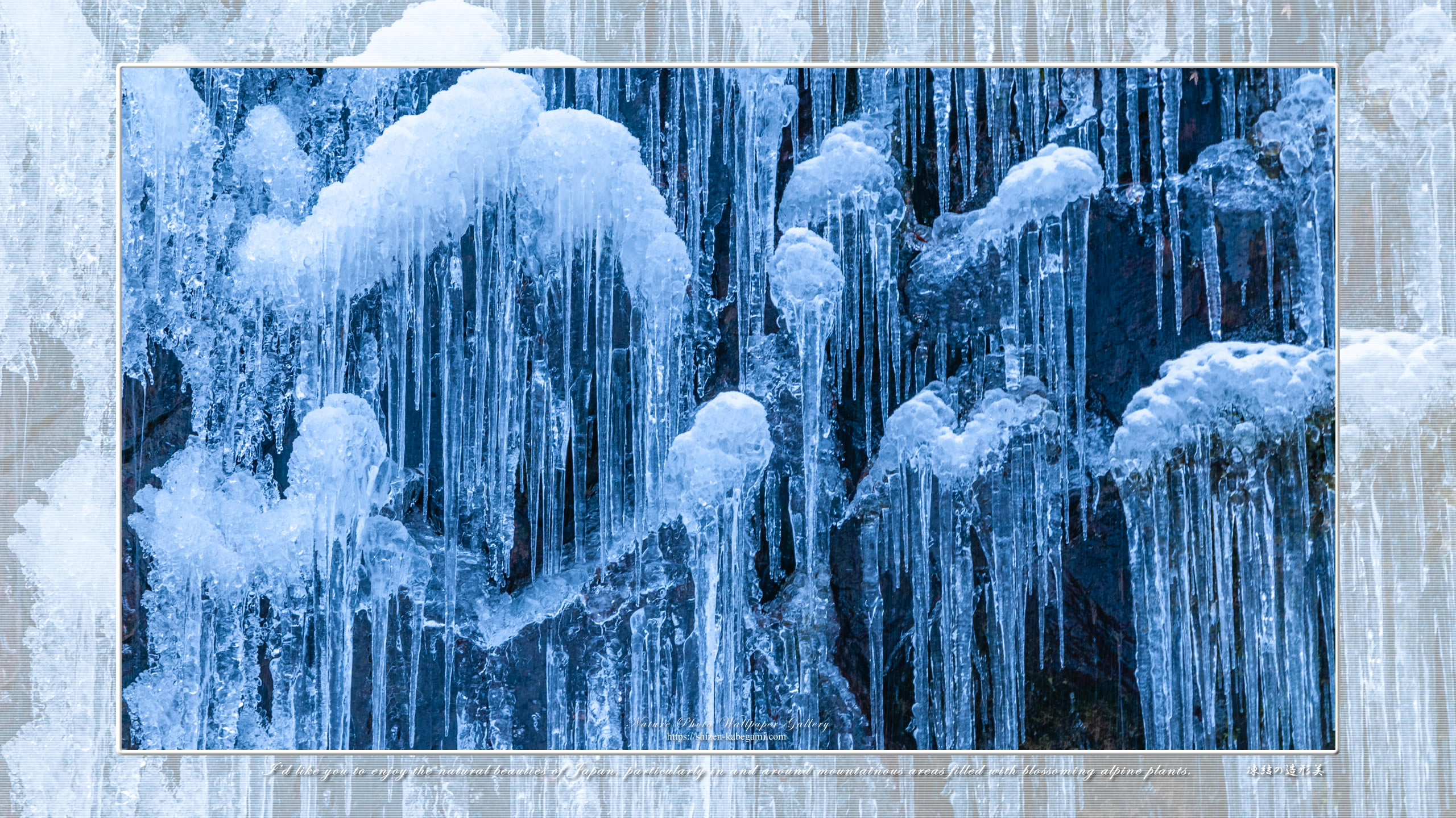 山 森の壁紙 凍結の造形美 ネイチャーフォト壁紙館