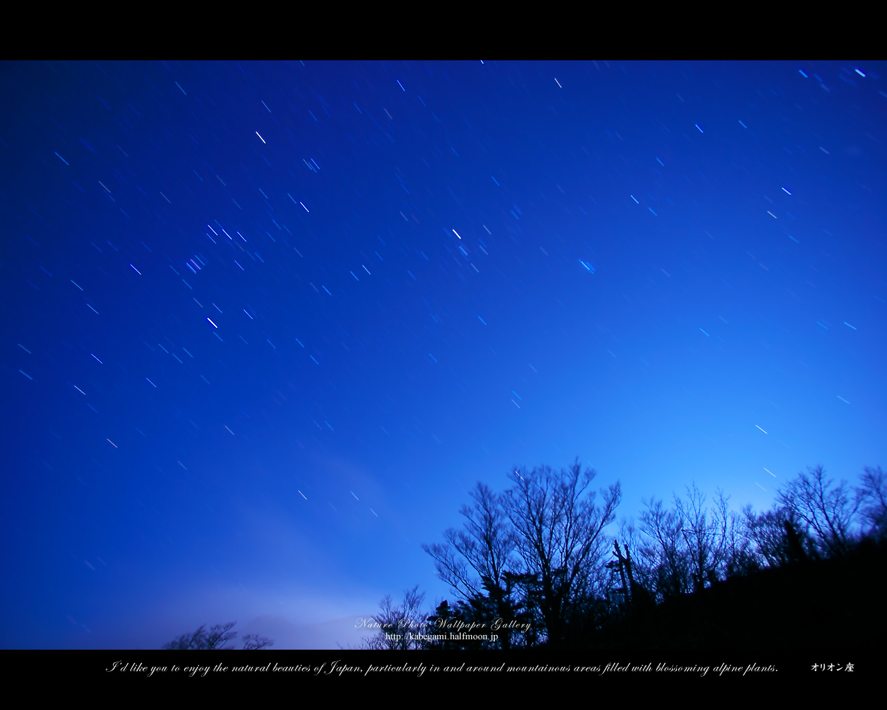 星景写真の高画質壁紙集 オリオン座 5 ネイチャーフォト壁紙館