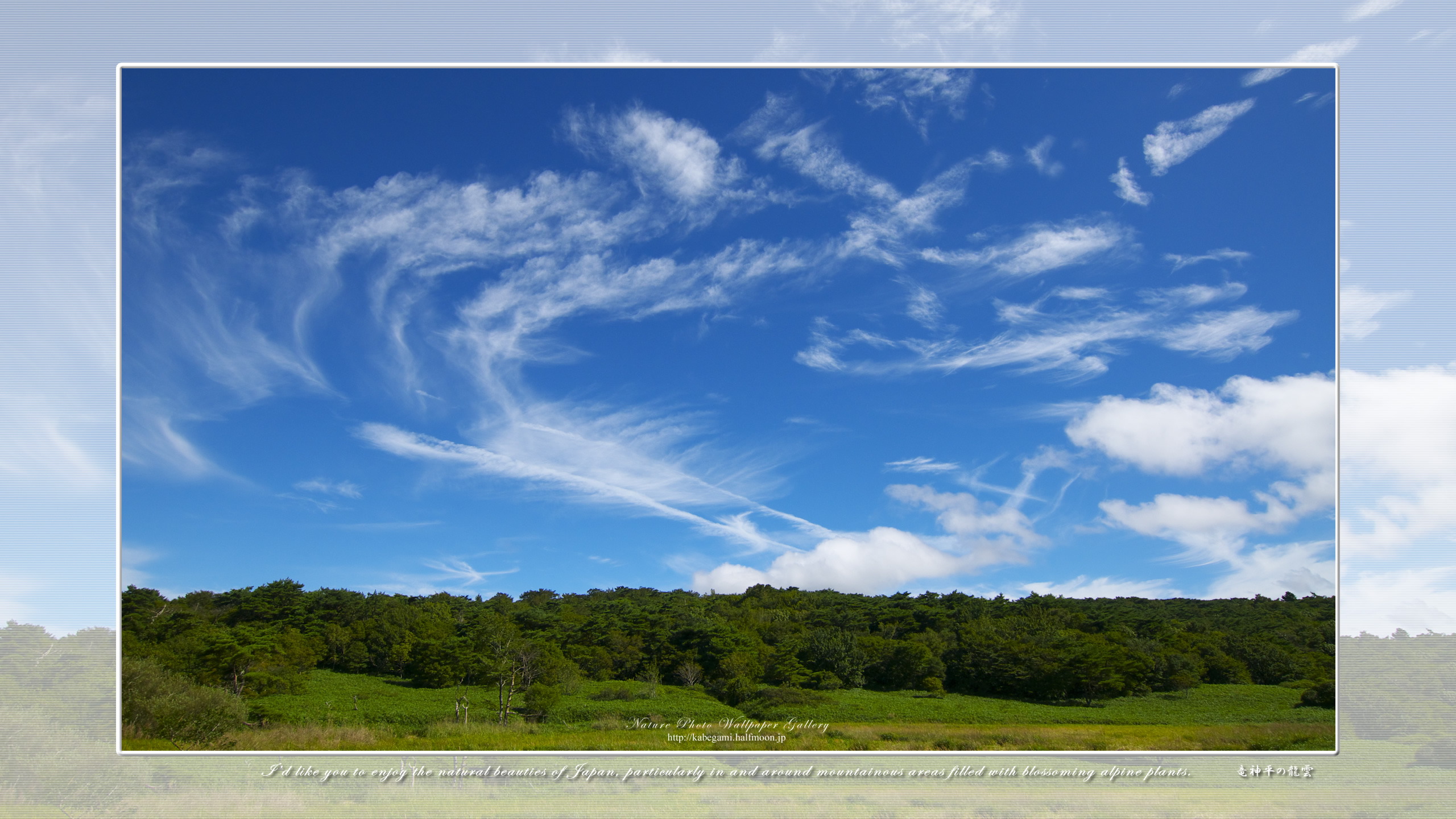 空の風景の高画質壁紙集 竜神平の龍雲 ネイチャーフォト壁紙館