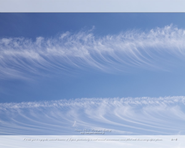 「白い雲」の高画質壁紙（1024x768|1280x1024|1366x768|1600x900|1920x1080|2560x1440|1920x1200）
