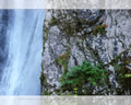 「銚子の滝」の高画質壁紙