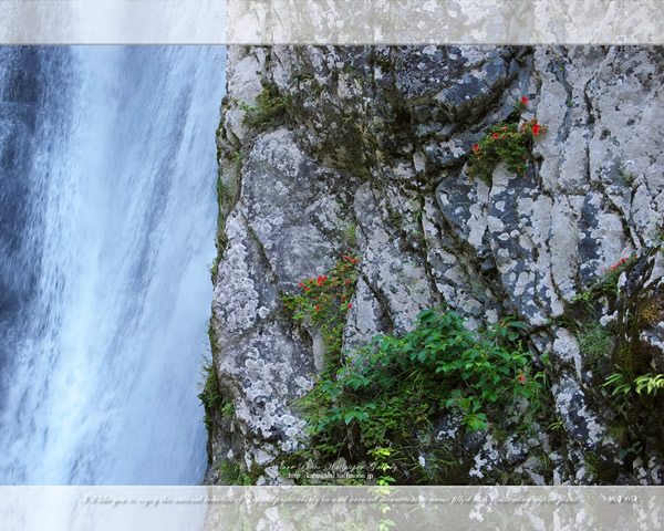 信州の滝の高画質壁紙（1024x768|1280x1024|1366x768|1600x900|1920x1080|2560x1440|1920x1200）